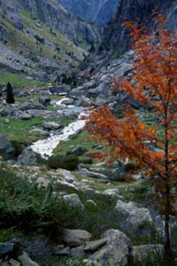 HRP & the Pyrenees: autumn colours